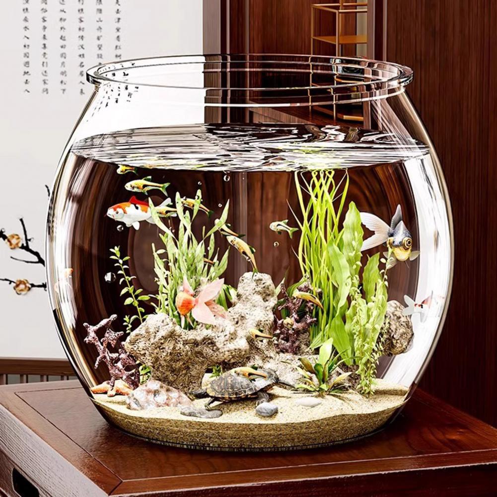 Clear Plastic round Fish Bowl  - đánh giá và giá Plant Aquarium Pot