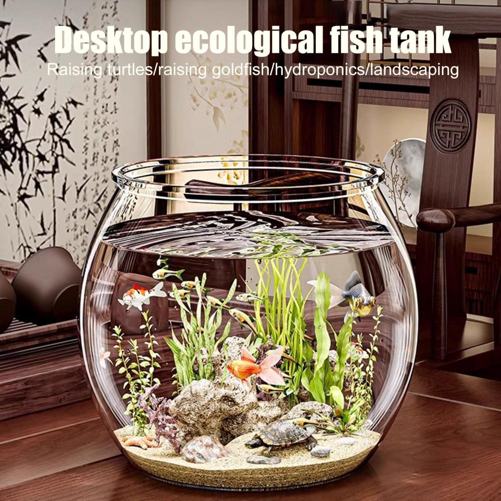 Clear Plastic round Fish Bowl  - đánh giá và giá Plant Aquarium Pot