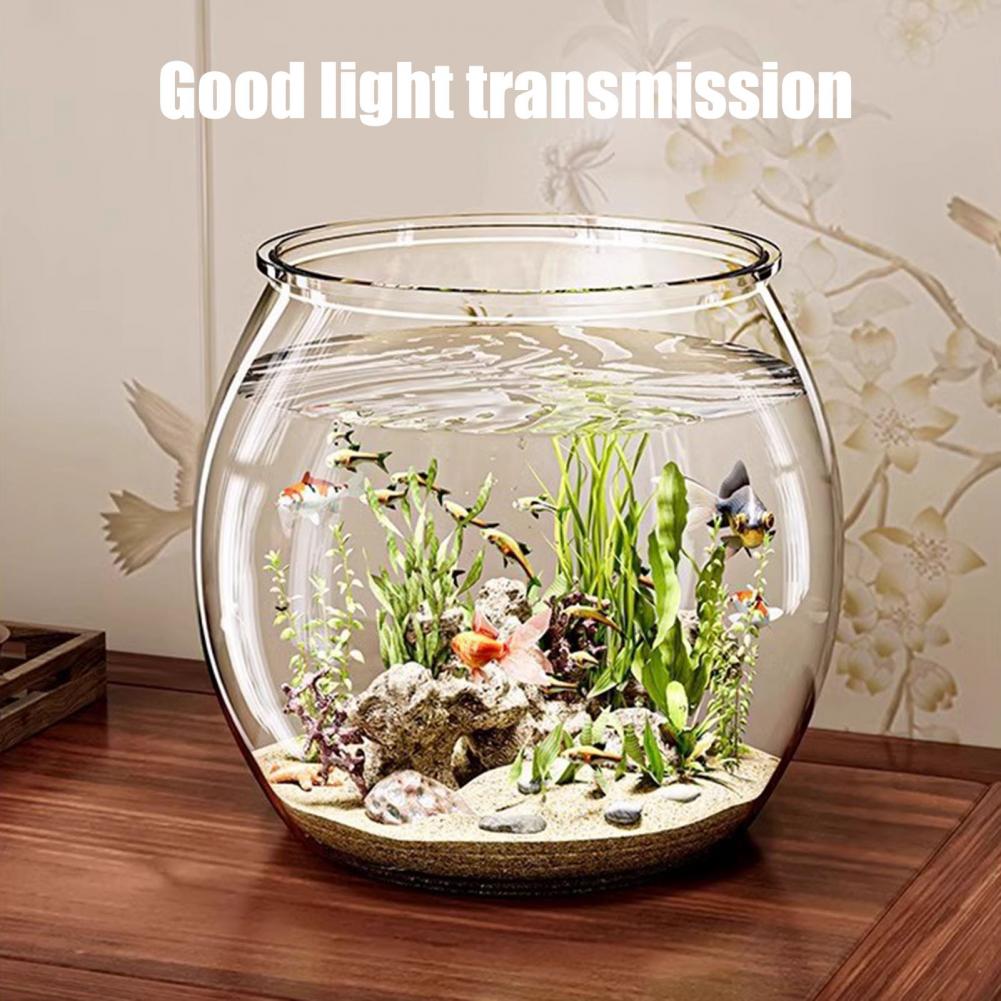 Clear Plastic round Fish Bowl  - đánh giá và giá Plant Aquarium Pot