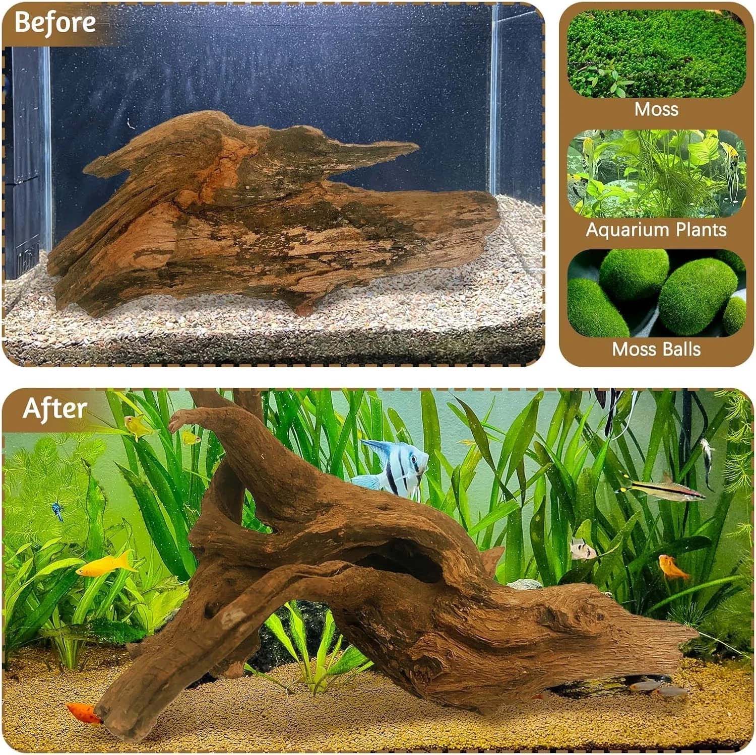 15-20CM 1Pc Natural Driftwood  - đánh giá và giá Aquarium Plant Substrate