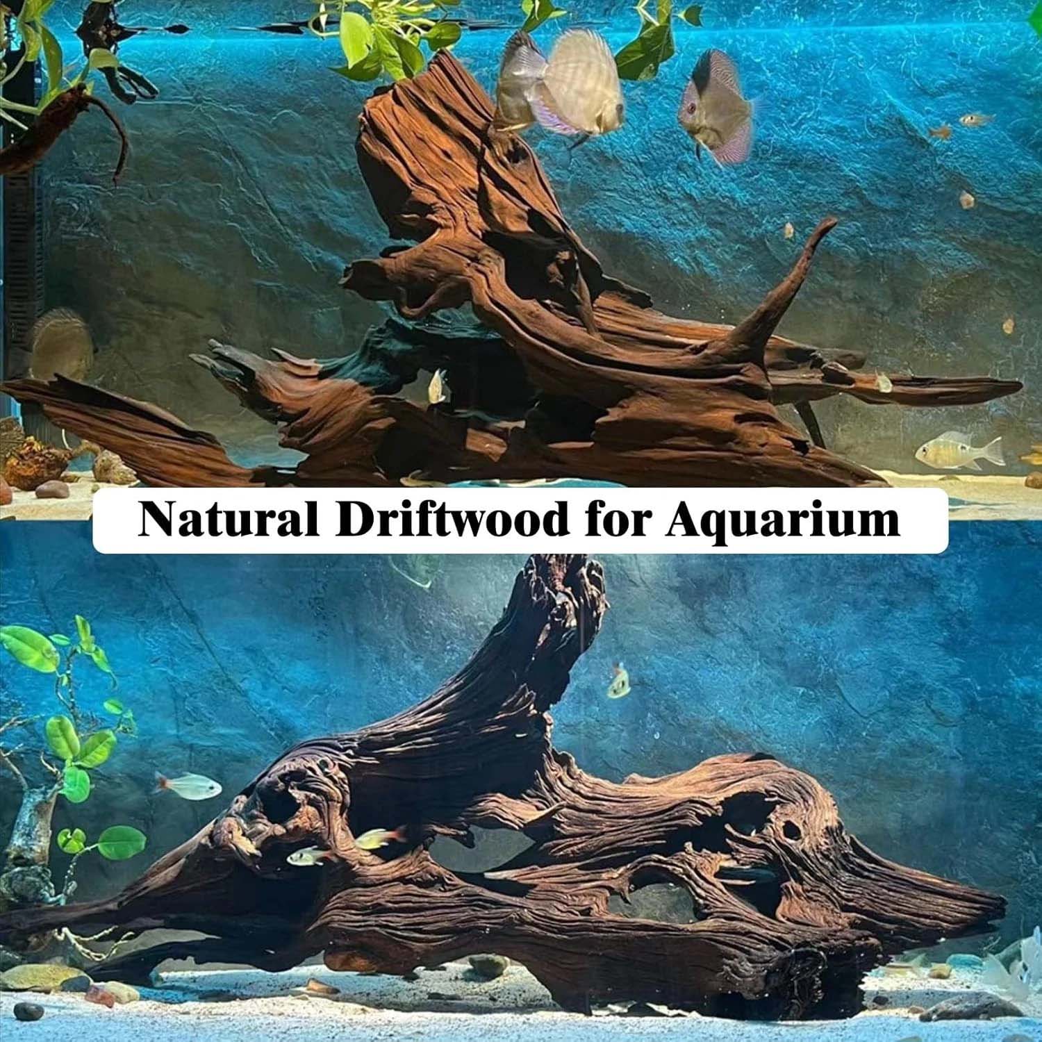 15-20CM 1Pc Natural Driftwood  - đánh giá và giá Aquarium Plant Substrate