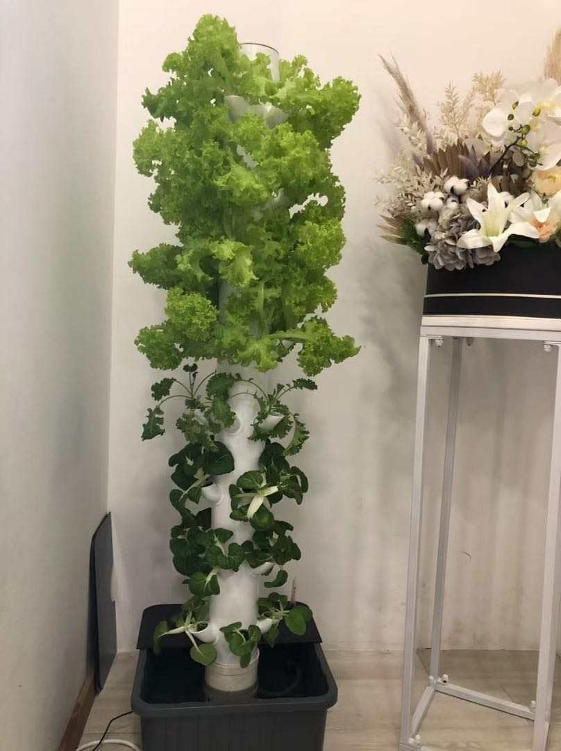 Vertical Hydroponic Grow Tower - đánh giá và giá Planted Tank