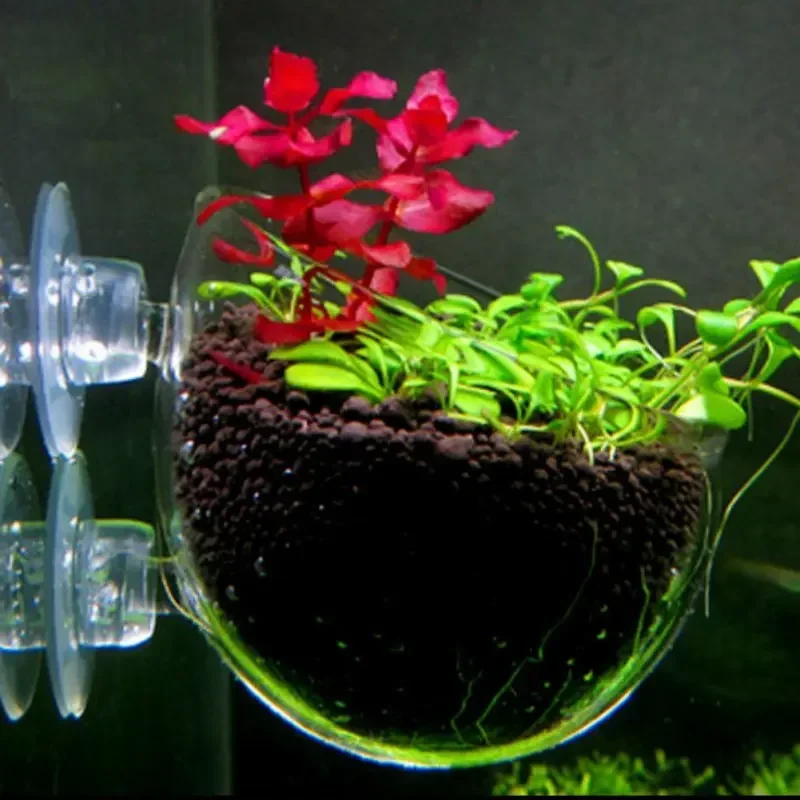Clear Aquatic Plant Cup With S - đánh giá và giá Aquarium Plant Holder