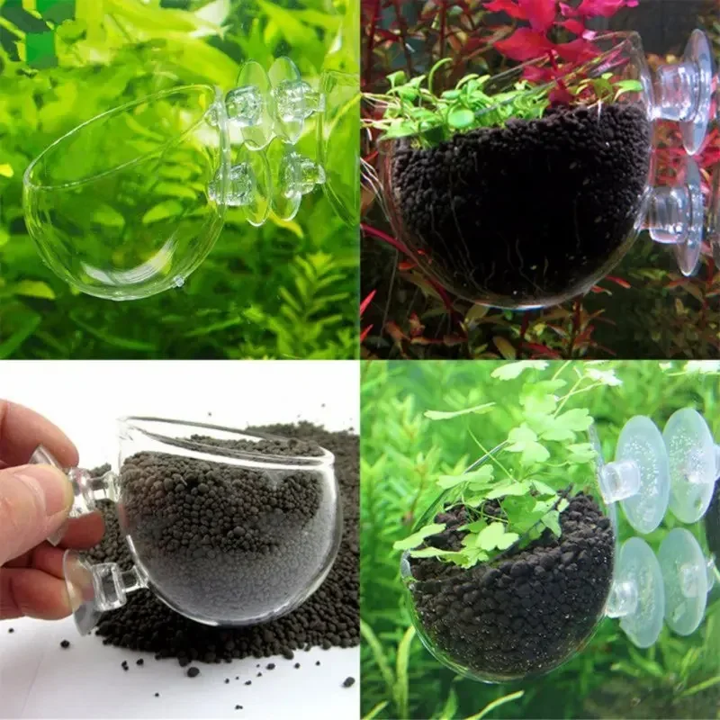 Clear Aquatic Plant Cup With S - đánh giá và giá Aquarium Plant Holder