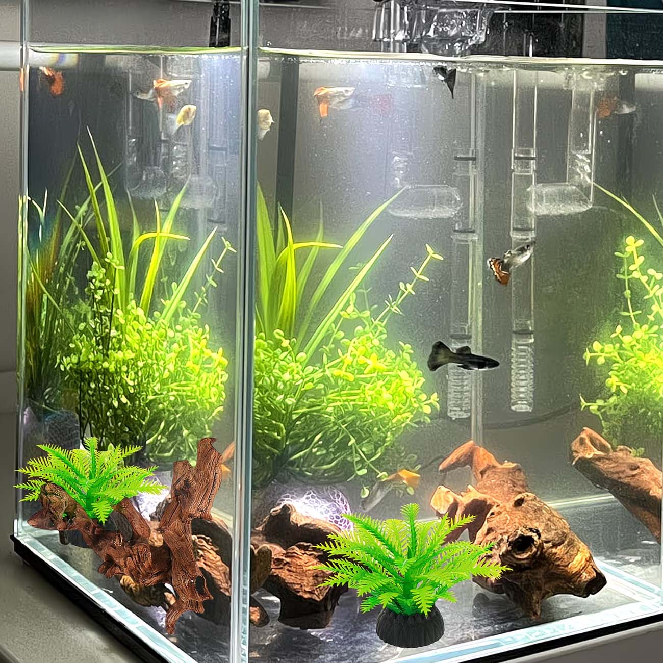 5-10CM Natural Sinkable Driftw - đánh giá và giá Aquarium Driftwood