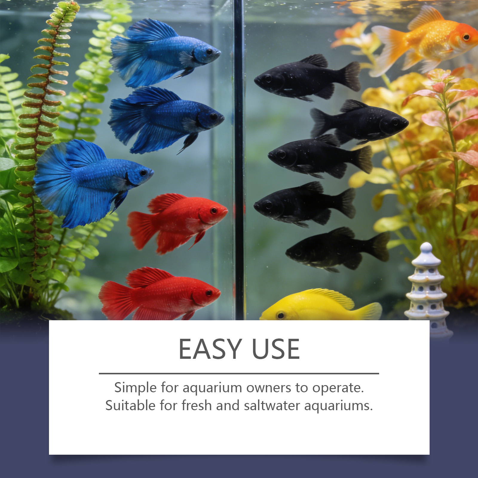 Algae Remover Tablets for Aqua - đánh giá và giá Planted Aquarium Algae Control