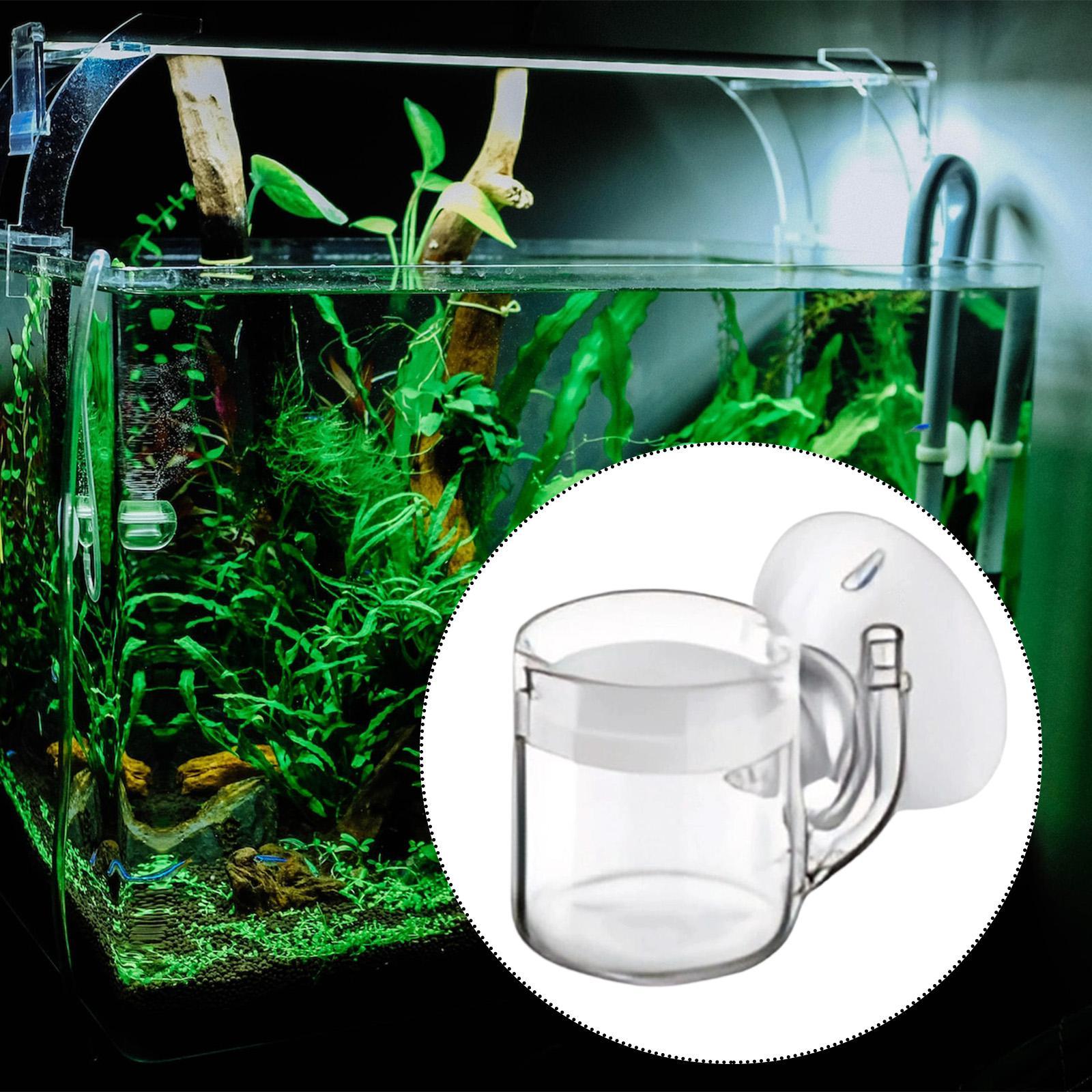 CO2 Diffuser Flat Bottom Silen - đánh giá và giá Planted Aquarium Cleaning