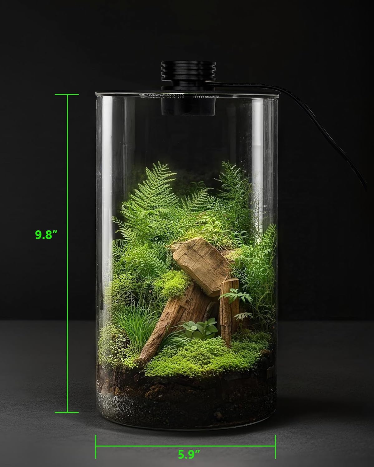 Indoor Glass Terrarium with Gr - đánh giá và giá Planted Tank