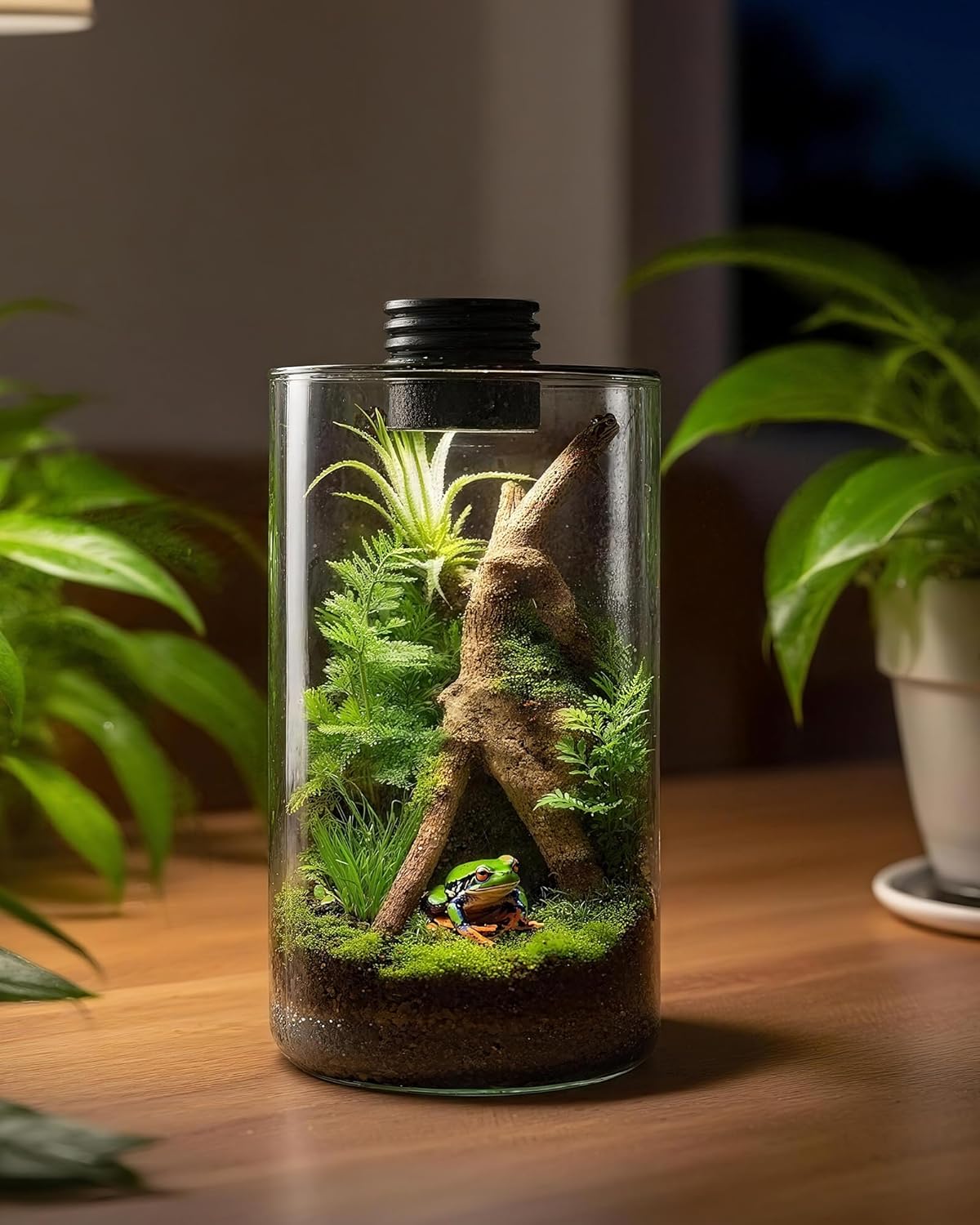 Indoor Glass Terrarium with Gr - đánh giá và giá Planted Tank