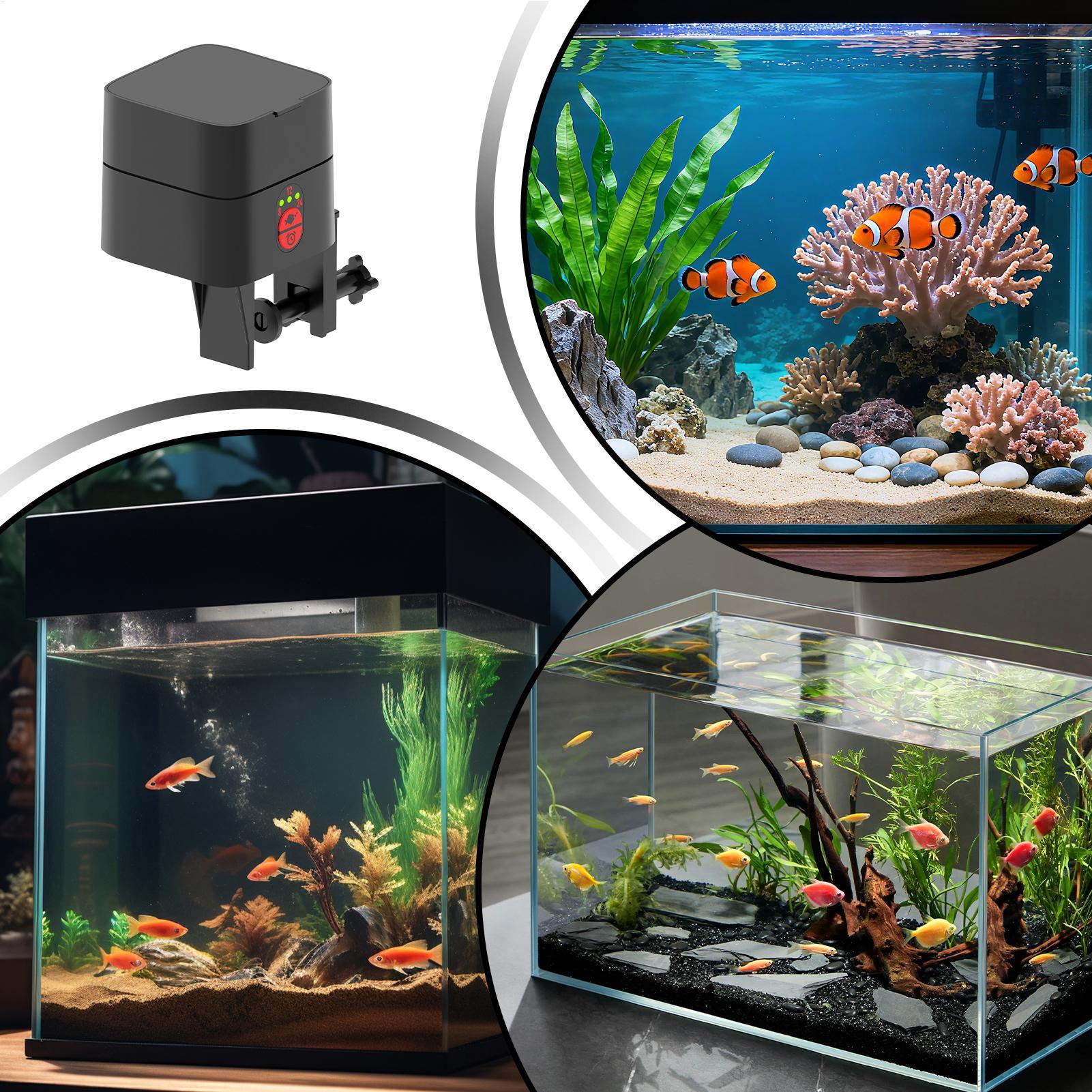 Auto Fish Feeder For Aquarium  - đánh giá và giá Aquarium Fertilizer