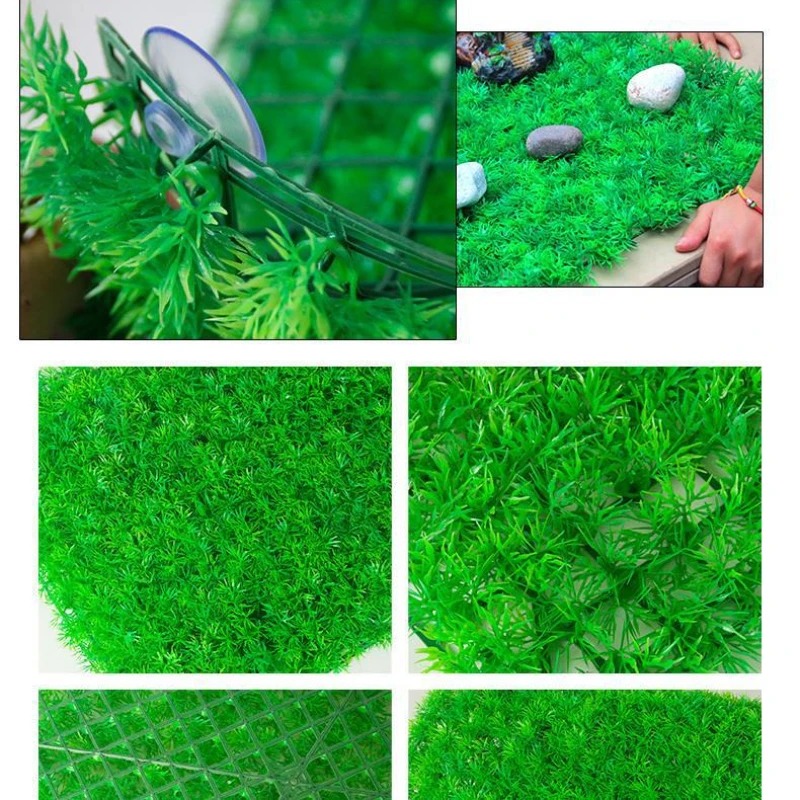 Artificial Grass Lawn Aquarium - đánh giá và giá Live Plant Aquarium