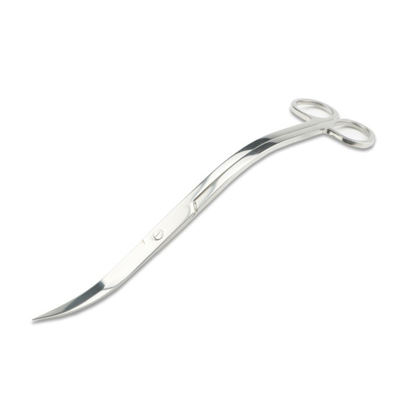 Aquarium Scissors Tweezers Too - đánh giá và giá Aquarium Plant Holder