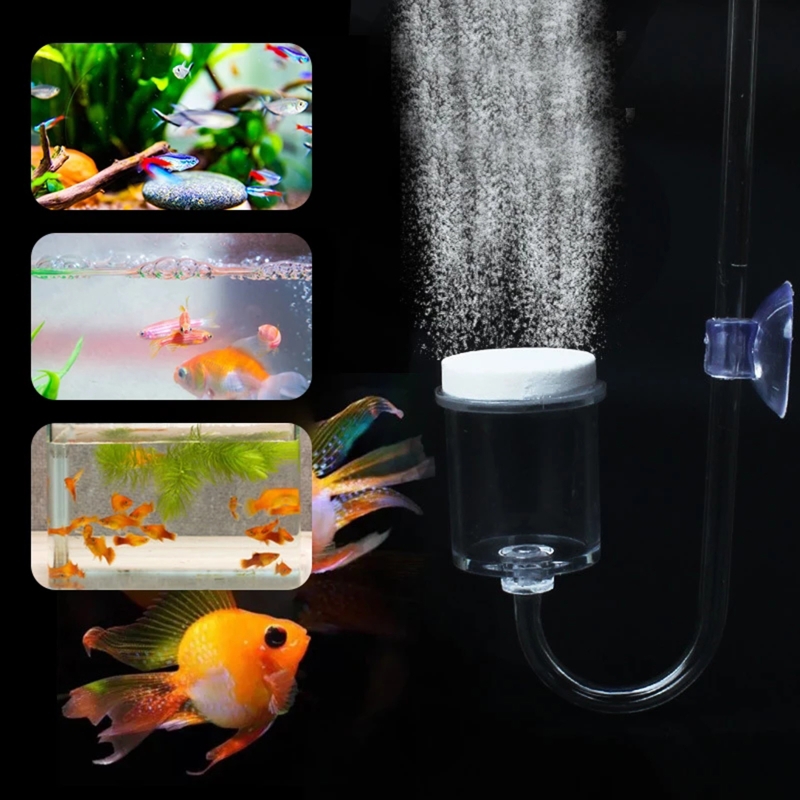 4pcs Set DIY CO2 Diffuser For  - đánh giá và giá Aquarium Liquid Carbon