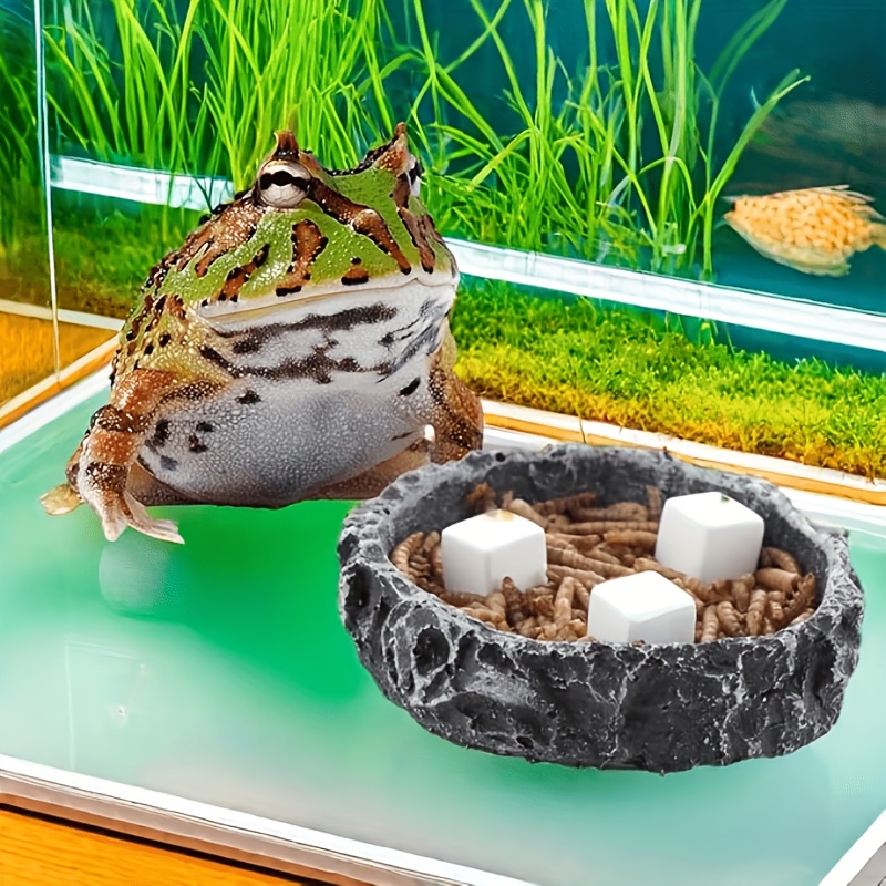 6 Pcs Fish Tank Calcium Block  - đánh giá và giá Aquarium Plants Live