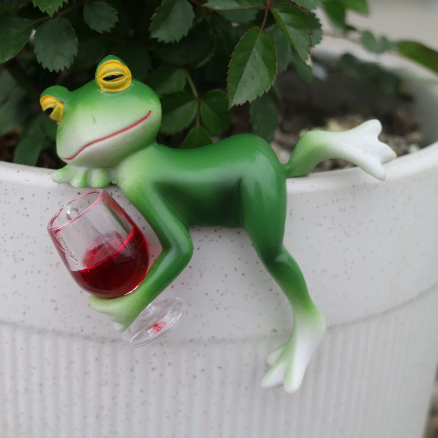 A delightful green frog and wi - đánh giá và giá Plant Aquarium Pot